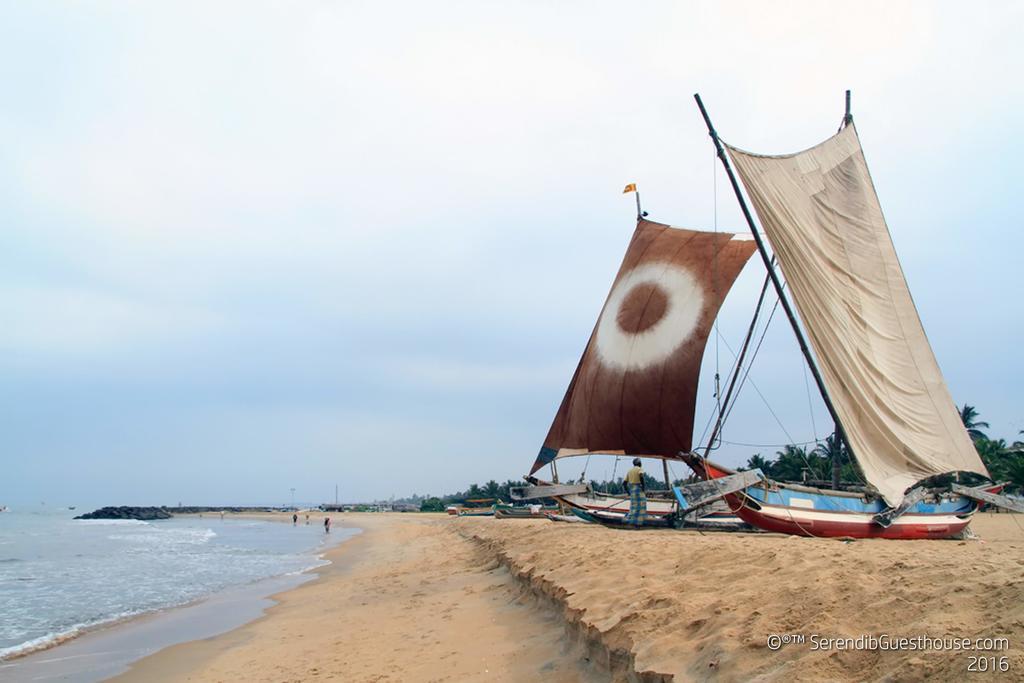 Serendib Guest House Negombo Ngoại thất bức ảnh