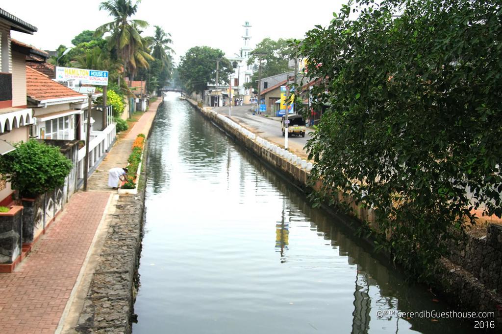 Serendib Guest House Negombo Ngoại thất bức ảnh
