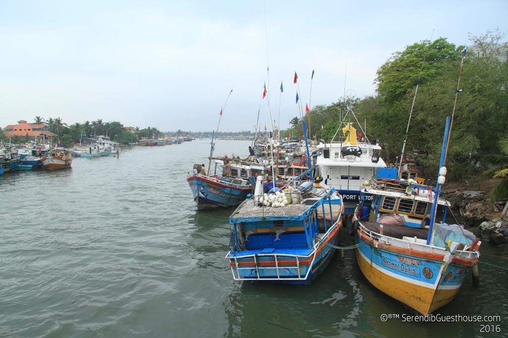 Serendib Guest House Negombo Ngoại thất bức ảnh