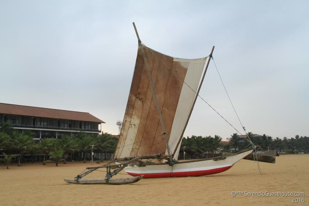 Serendib Guest House Negombo Ngoại thất bức ảnh