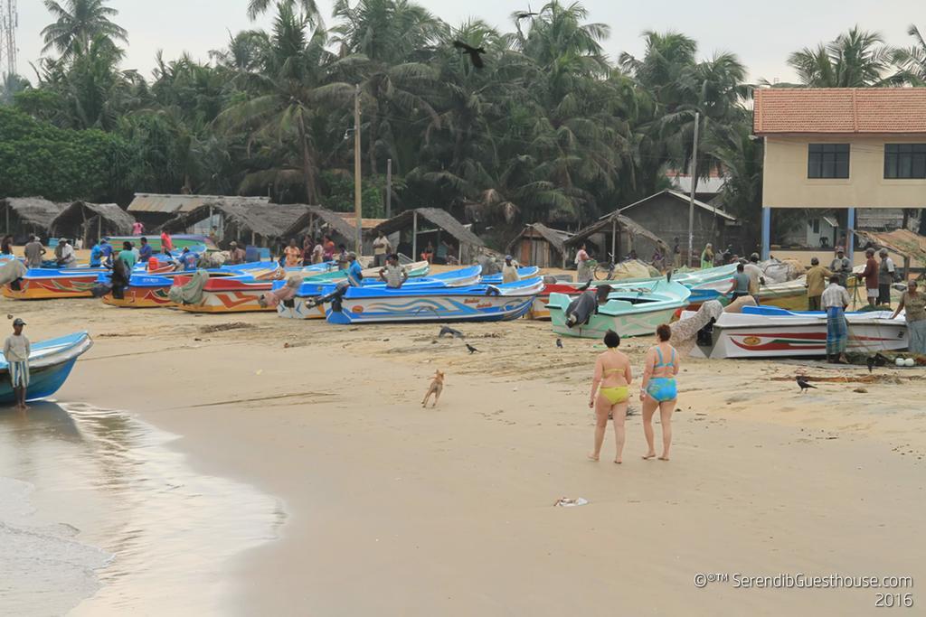 Serendib Guest House Negombo Ngoại thất bức ảnh