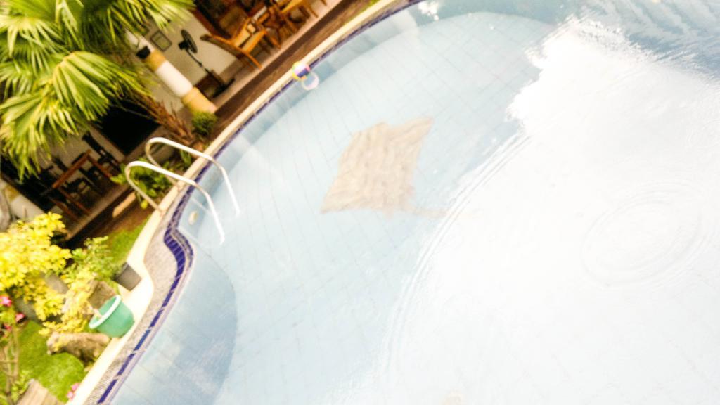 Serendib Guest House Negombo Ngoại thất bức ảnh