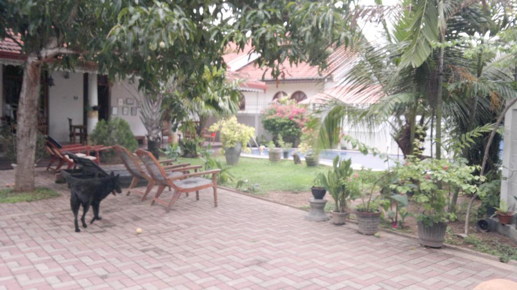 Serendib Guest House Negombo Ngoại thất bức ảnh