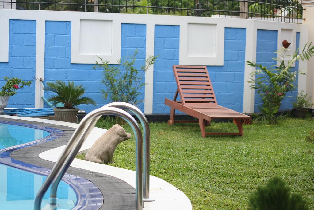 Serendib Guest House Negombo Ngoại thất bức ảnh